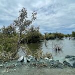 Badjao group in Surigao City_1