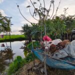 Jenia Mukherjee IIT 11