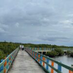 mangrove area of Del Carmen-Siargao Islands