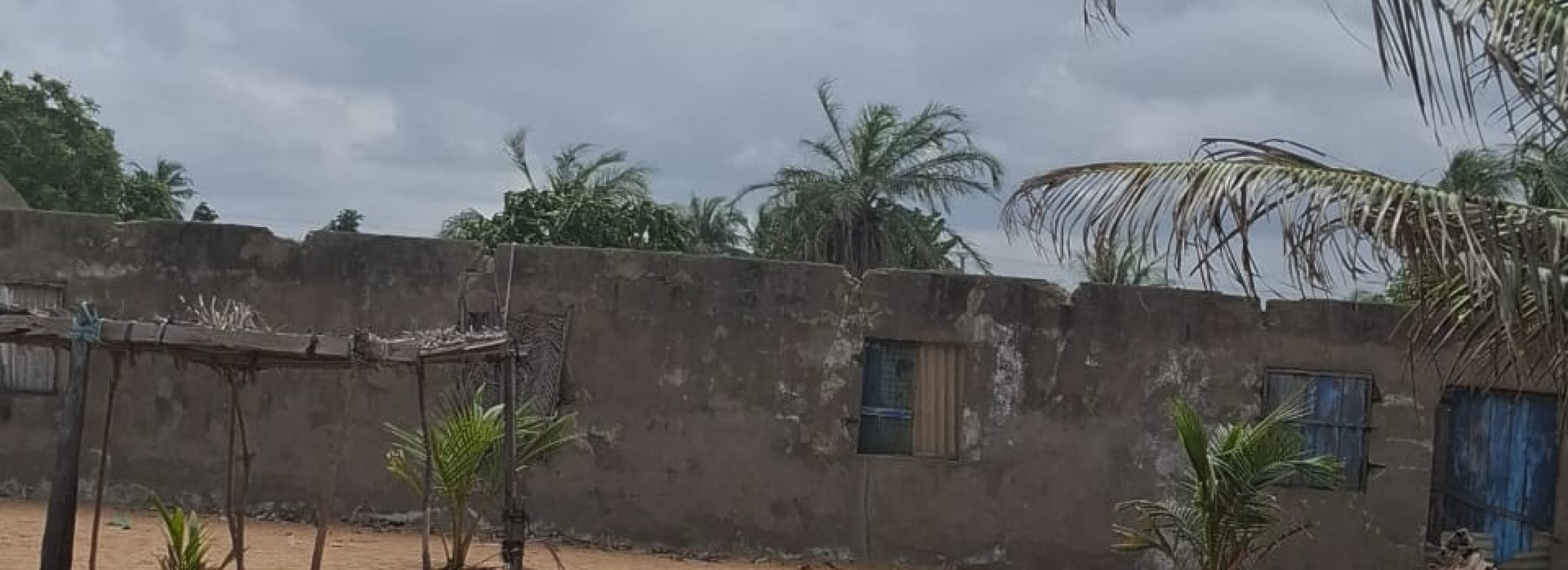 WhatsApp Image 2025-08-05 at 08.47.17